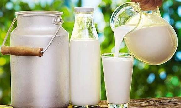Bidones de 20 litros de leche fresca para cafeterías y panaderías